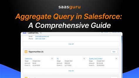 aggregate query in salesforce|aggregate function in salesforce.